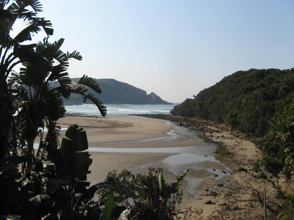 The Lodge On The Beach Port Saint Johnʼs 객실 사진